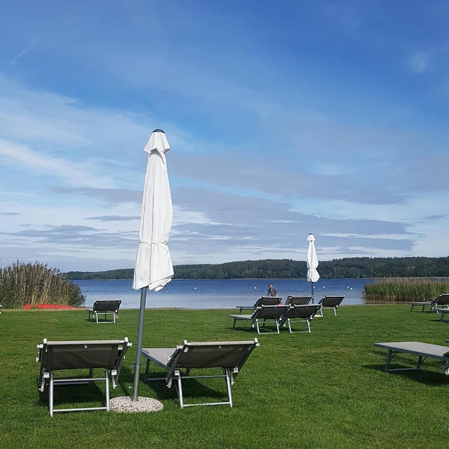 Apartment Altes Pfarrhaus In Plau Am See Zewnętrze zdjęcie