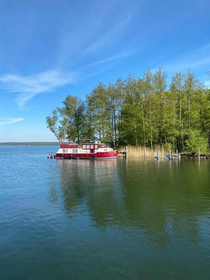 Apartment Altes Pfarrhaus In Plau Am See Zewnętrze zdjęcie