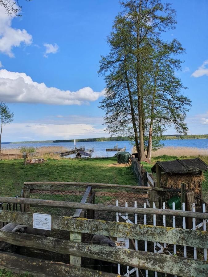 Apartment Altes Pfarrhaus In Plau Am See Zewnętrze zdjęcie